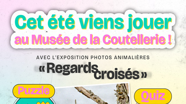 Animations Estivales
